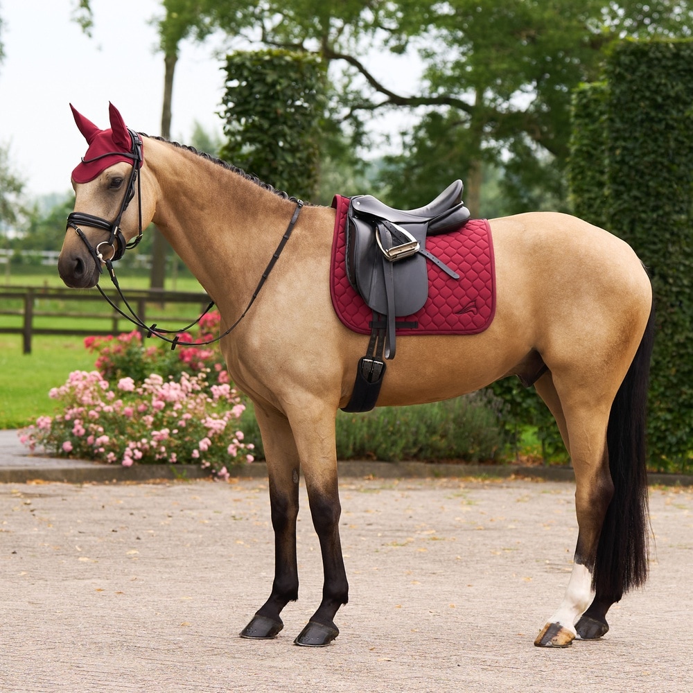 Saddlepad ESCoco DR