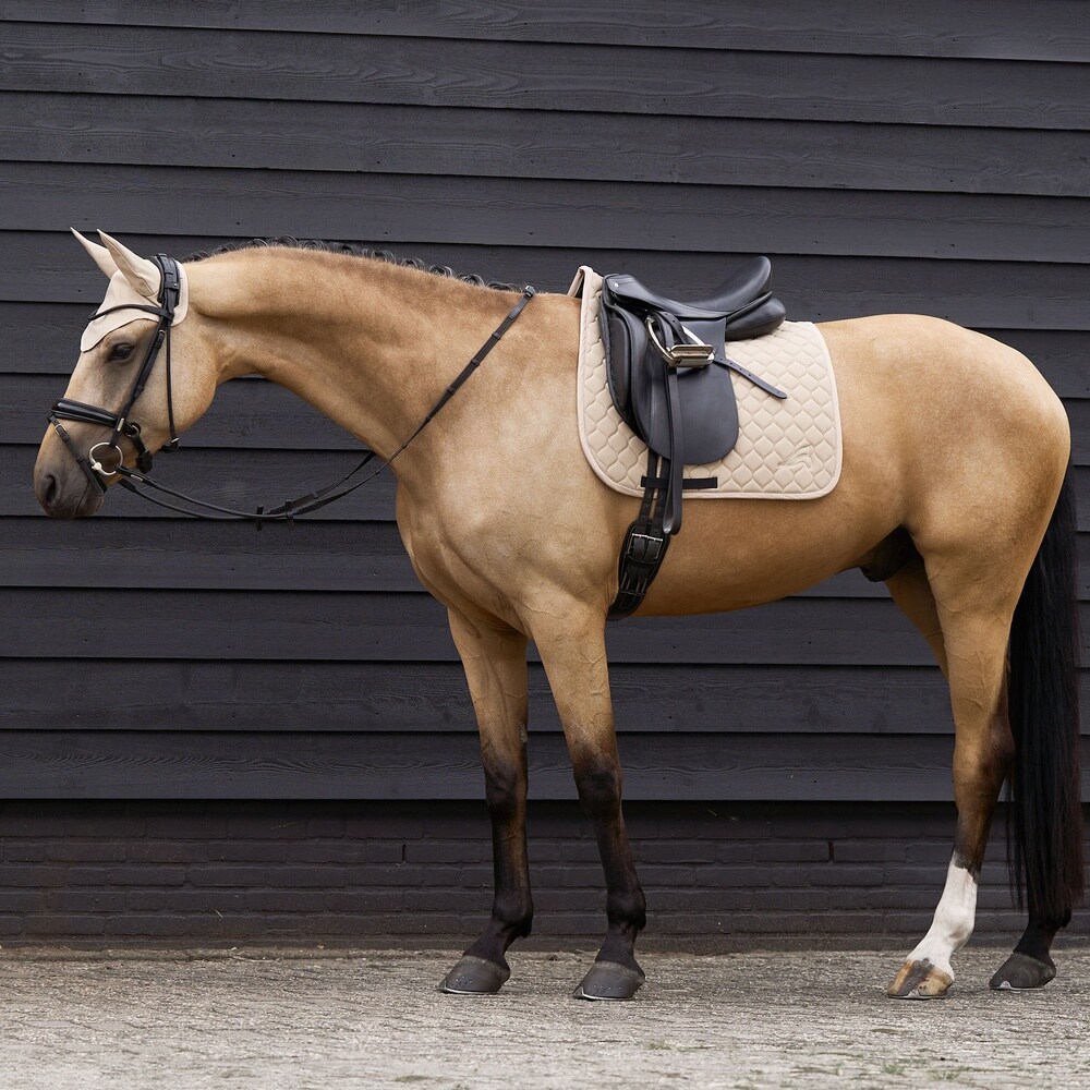 Saddlepad ESCoco DR