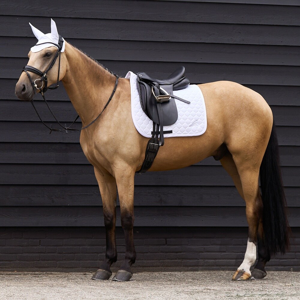Saddlepad ESCoco DR