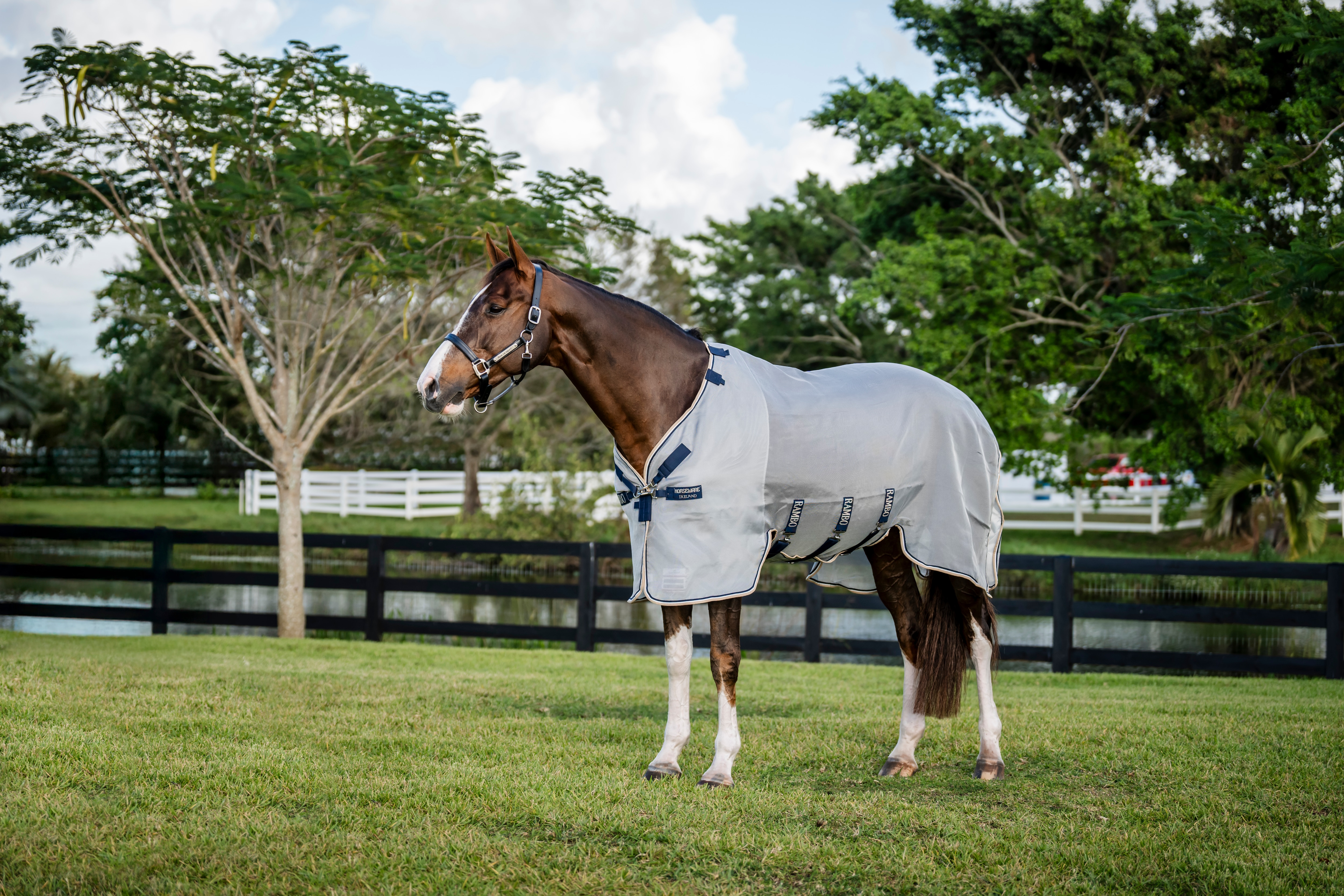 Horseware Rambo Protector