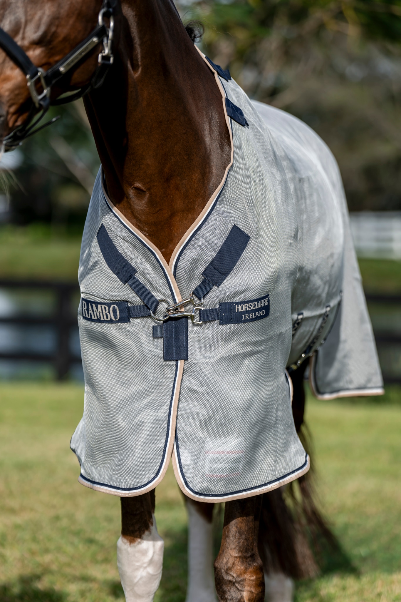 Horseware Rambo Protector