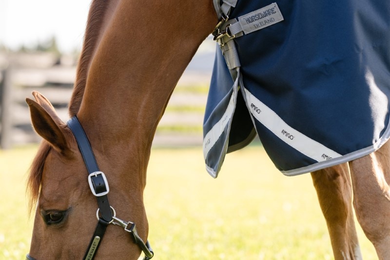 Horseware Amigo® 1200D Turnout 0g