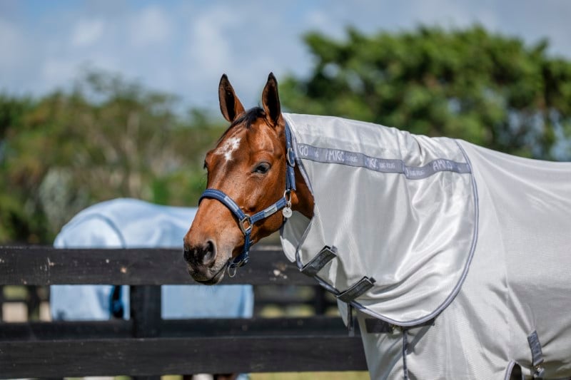 Horseware Amigo ötökkäloimen kaulakappale