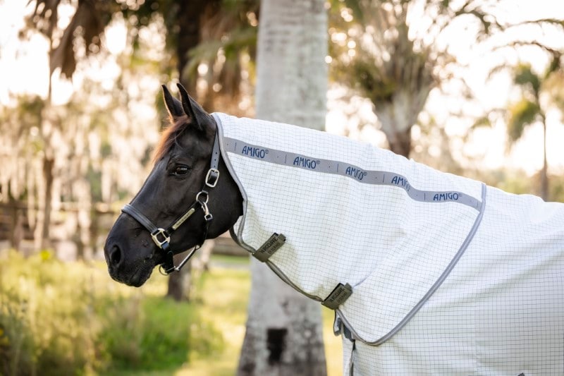 Horseware Amigo -kesäloimi Plus