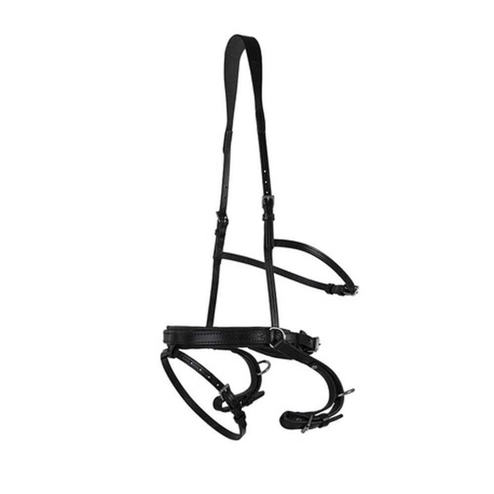 Wahlsten Premium Balance Fahrhalfter, Leder