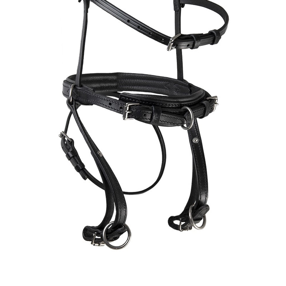 Wahlsten Premium Balance Fahrhalfter, Leder