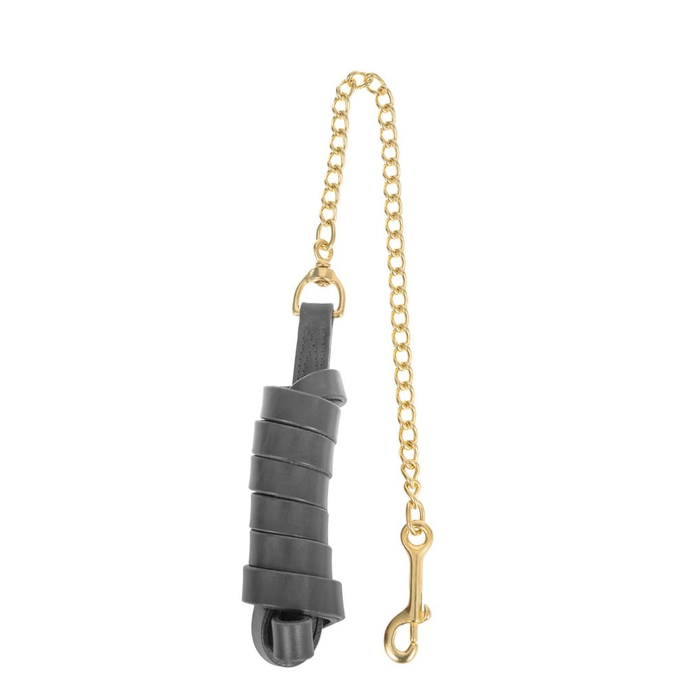 Wahlsten Premium Lederführleine mit einer 60 cm Messingkette