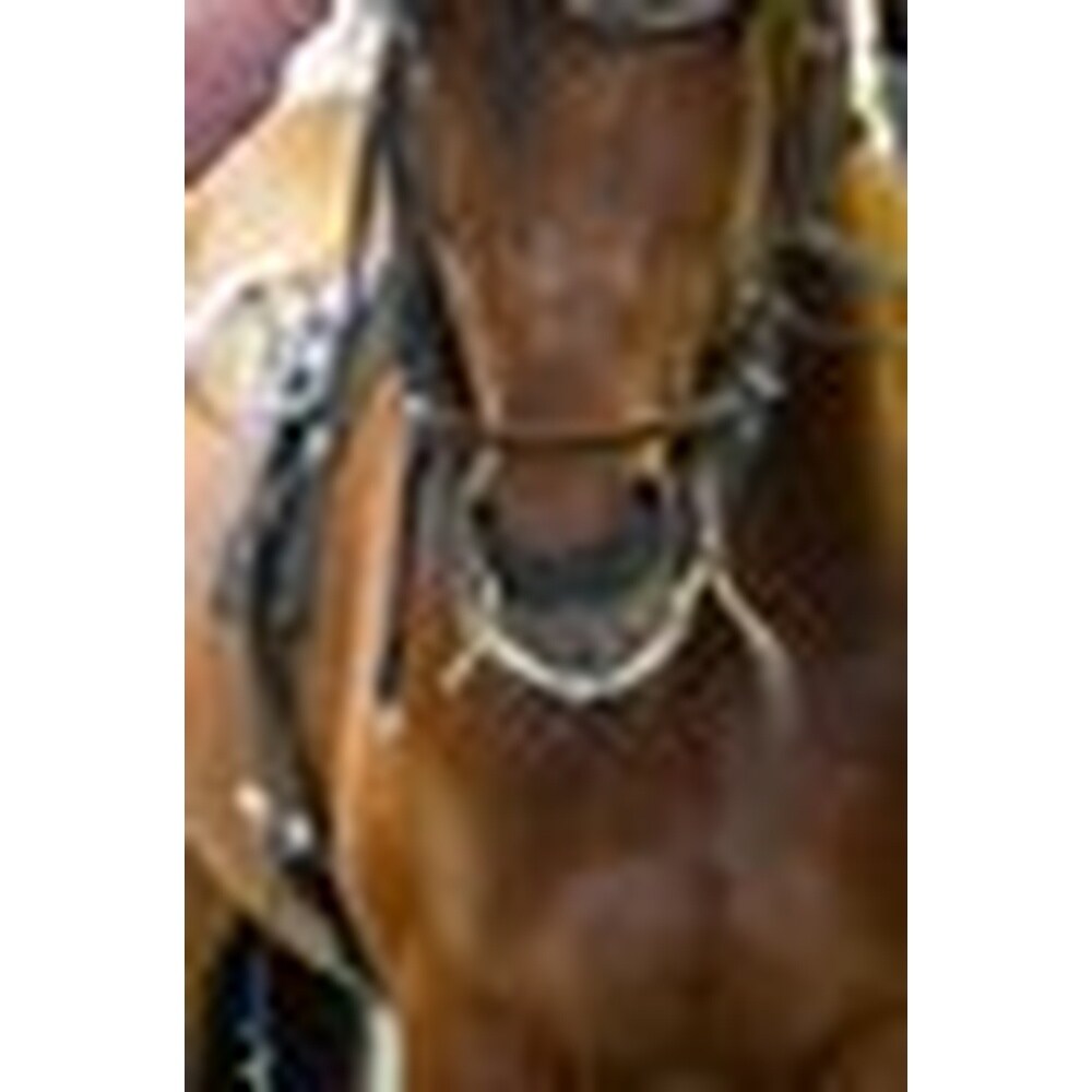 Sprenger Trotting Satinox Single J. Sidecheek 14Mm