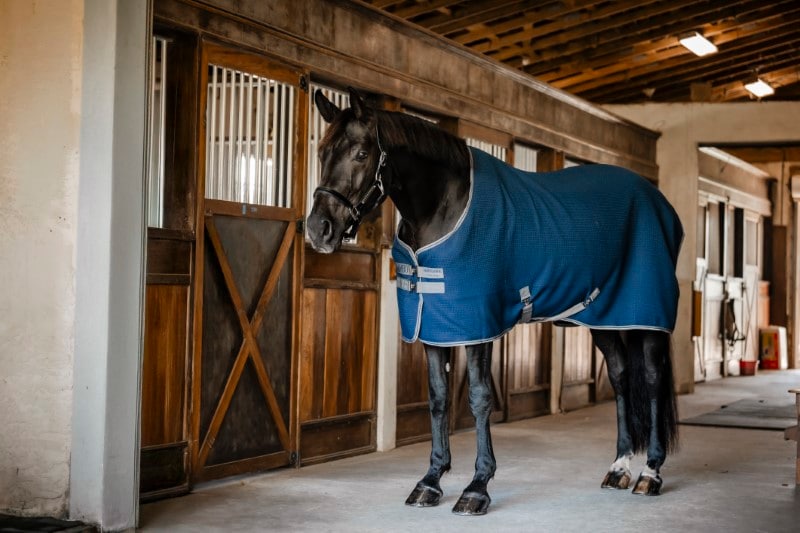 Horseware Rambo® Techni Waffel-Abschwitzdecke
