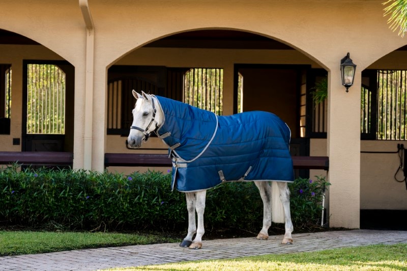 Horseware Amigo Ripstop Insulator Plus Stajenna 200g