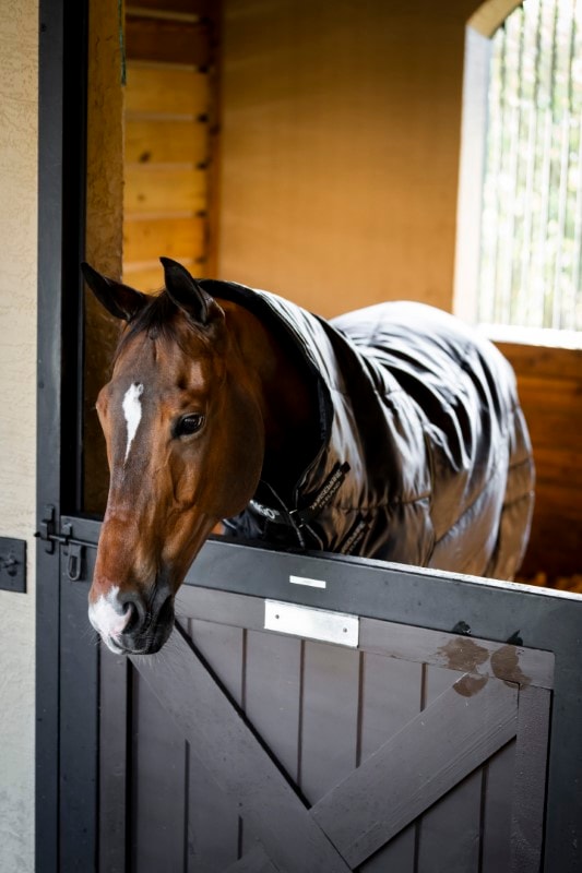 Horseware Amigo® Ripstop Insulator Stable 350g Koldra stajenna