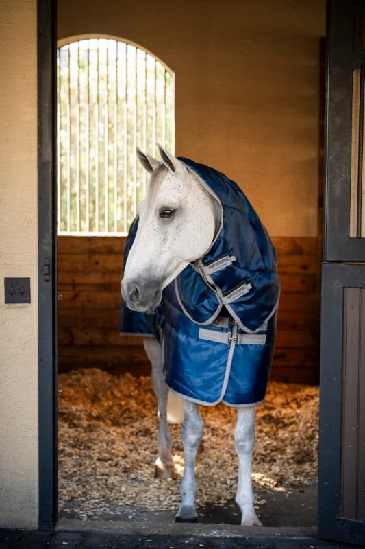 Horseware Amigo® Ripstop Insulator Stable 350g Koldra stajenna