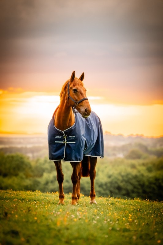 Horseware Amigo Ripstop 900D Utetäcke 200g