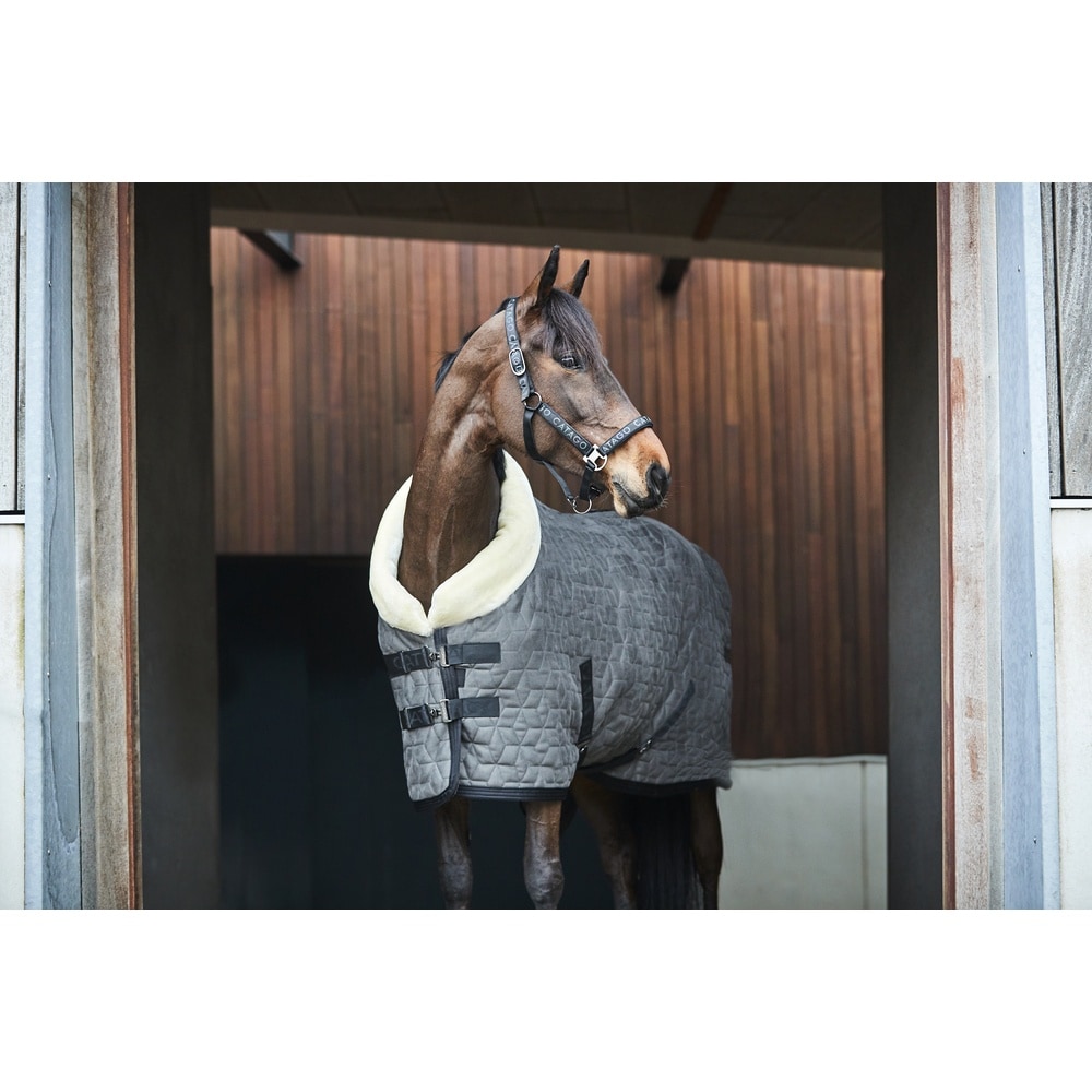 Catago Alea Reflective Logo Riimu