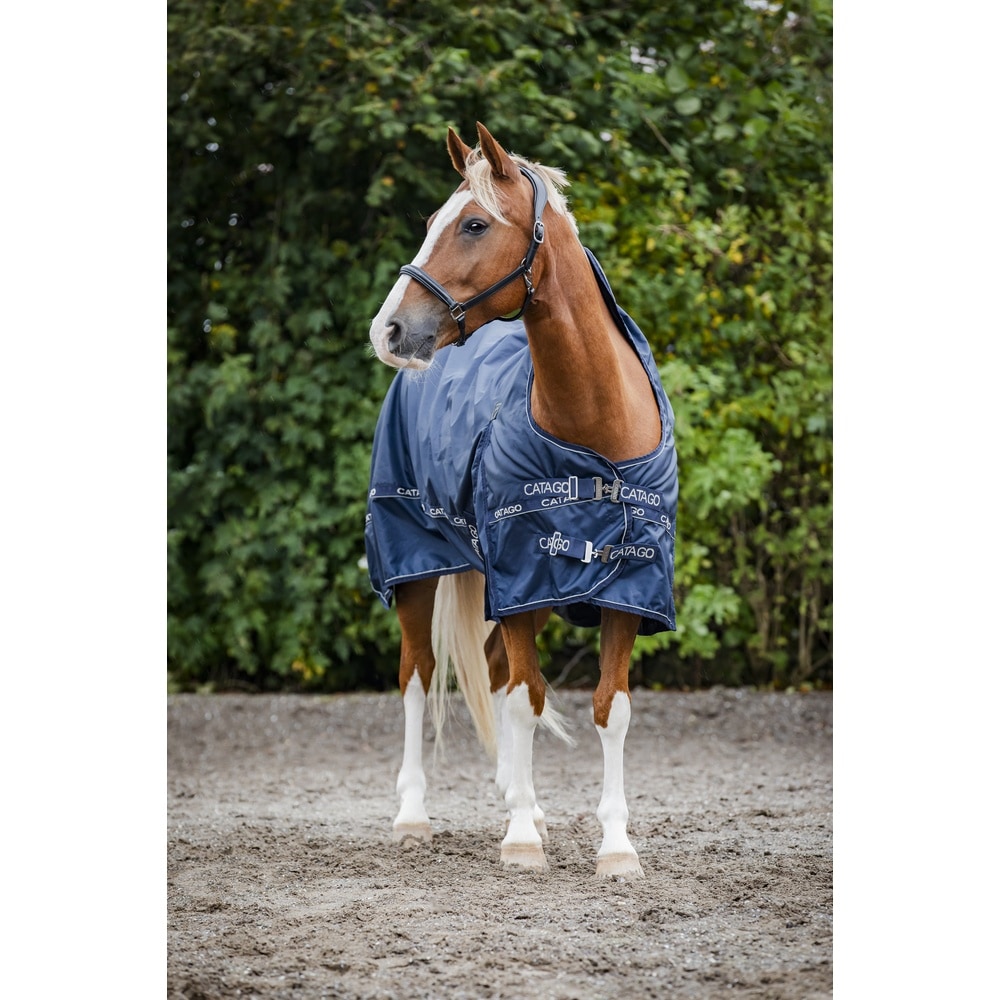 Catago Barlow 840d Turnout Rug 300g