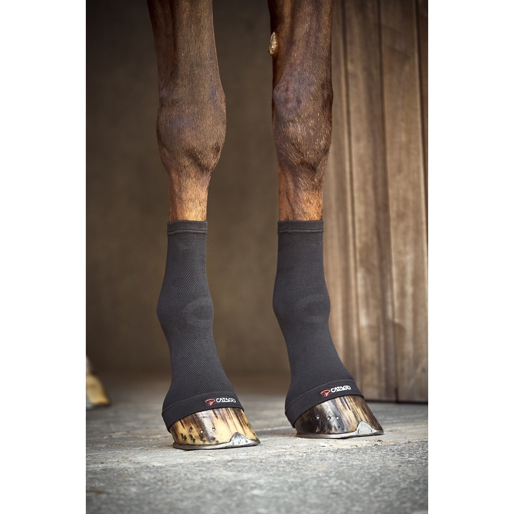 Catago Fir-Tech Fesselkopfsocken
