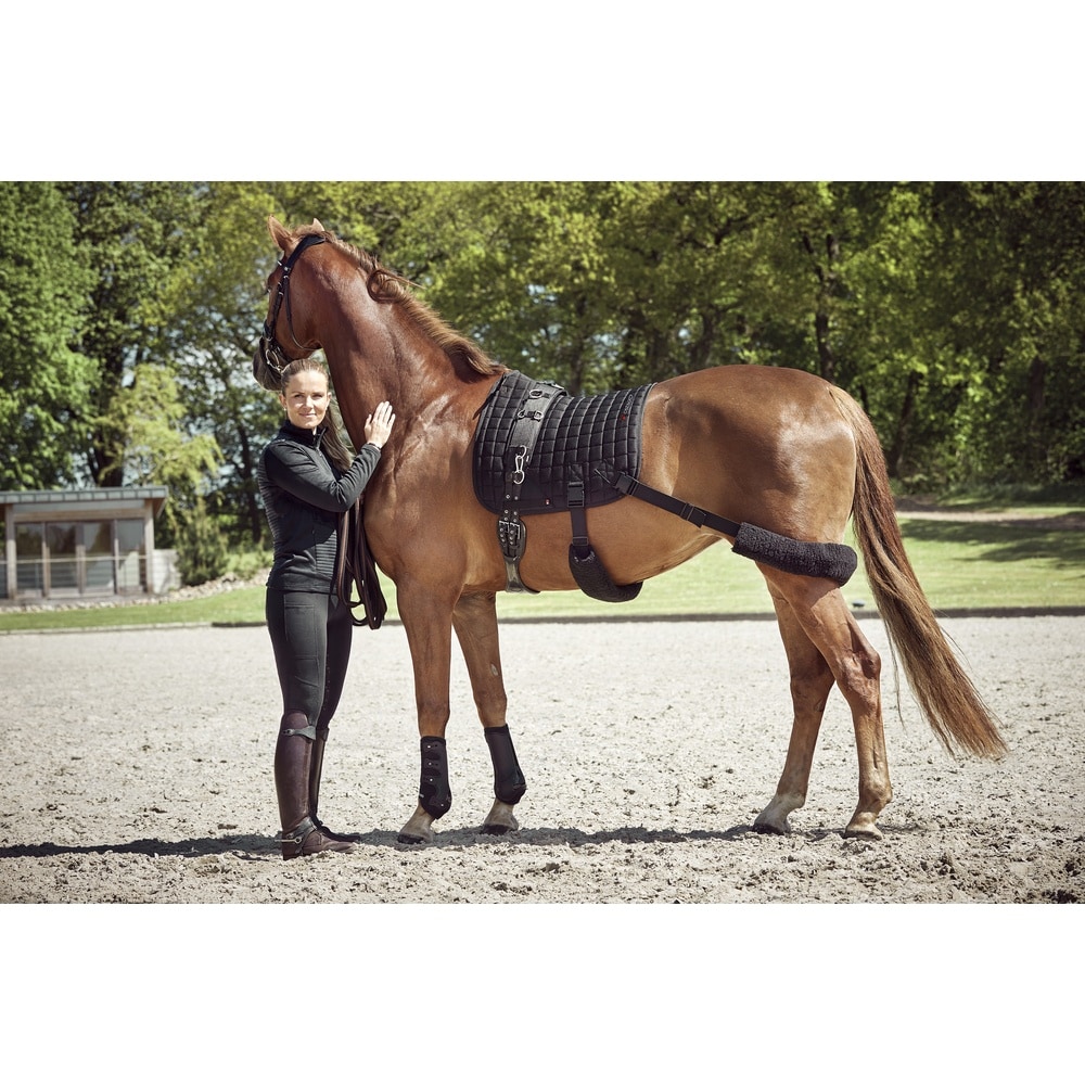 Catago Fir-Tech Trening Dressur Sjabrak med Elastikk