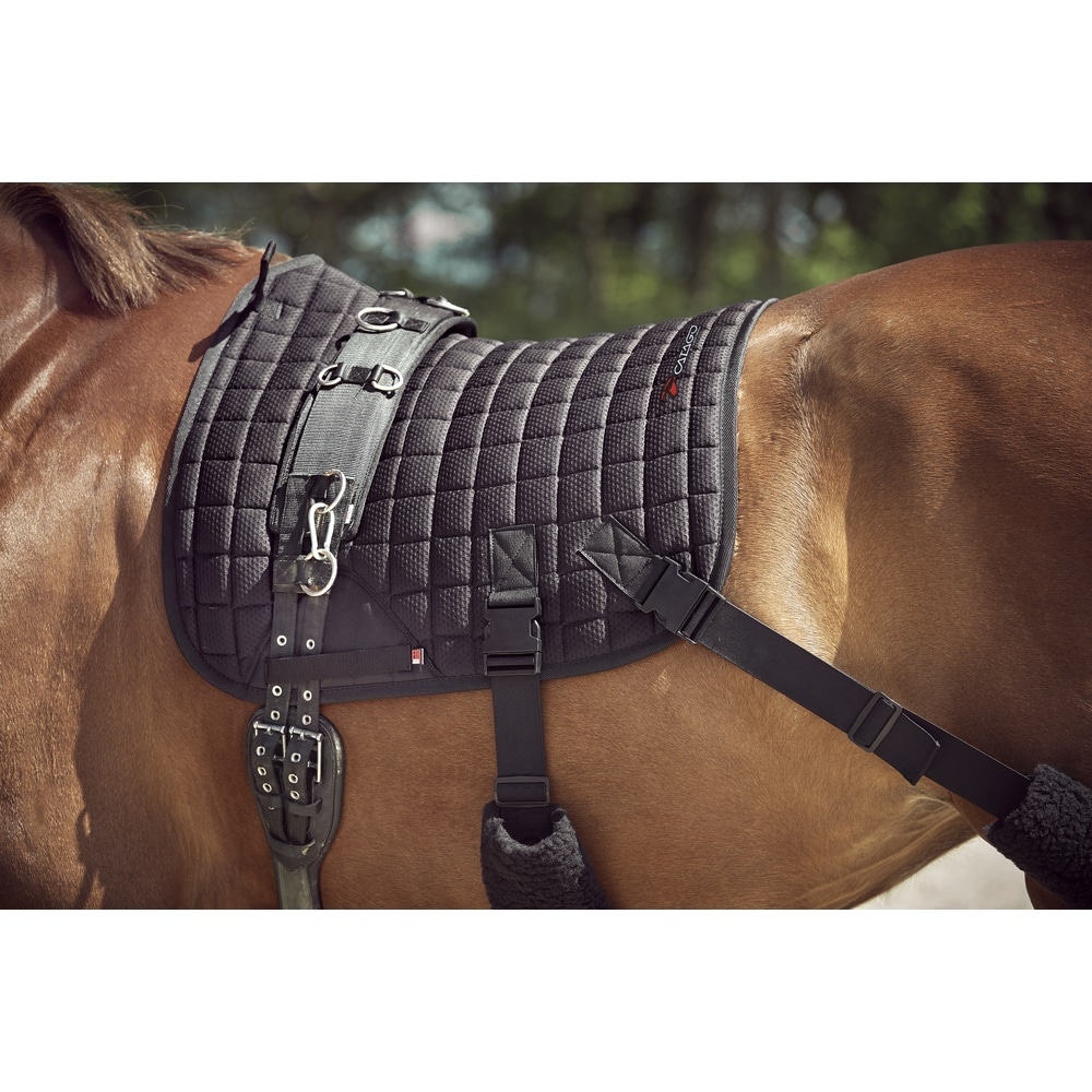 Catago Fir-Tech Trening Dressur Sjabrak med Elastikk