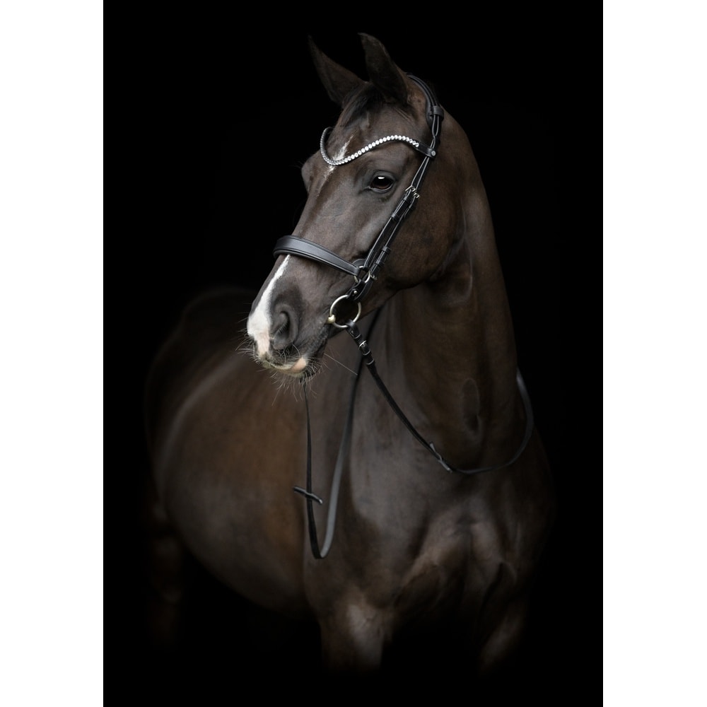 Catago Gentle Cheek Pieces