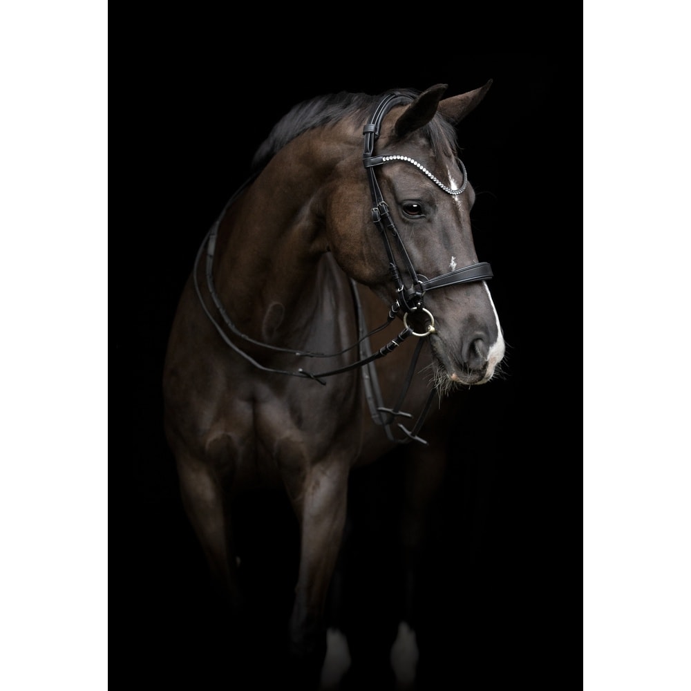 Catago Gentle Cheek Pieces