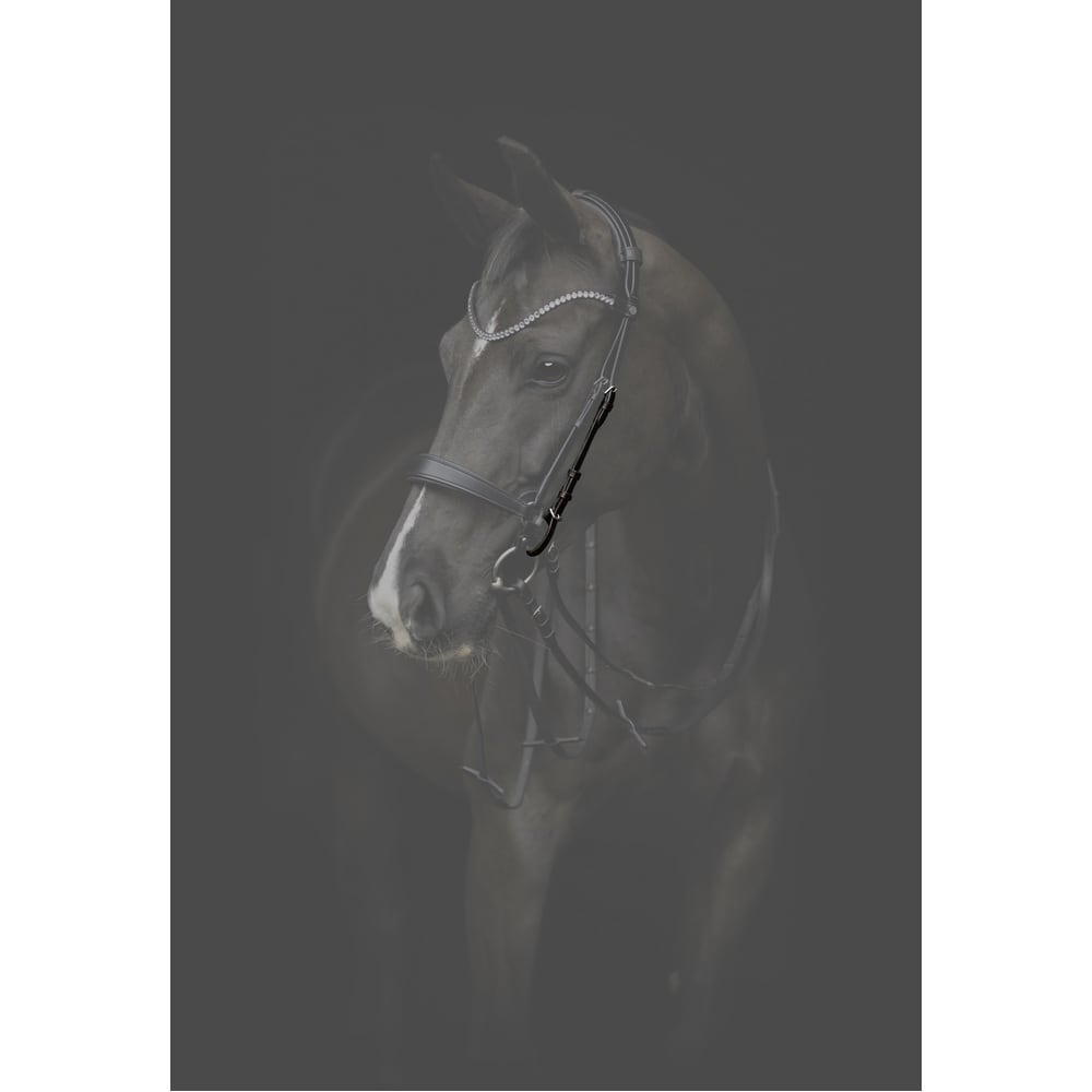 Catago Gentle Cheek Pieces