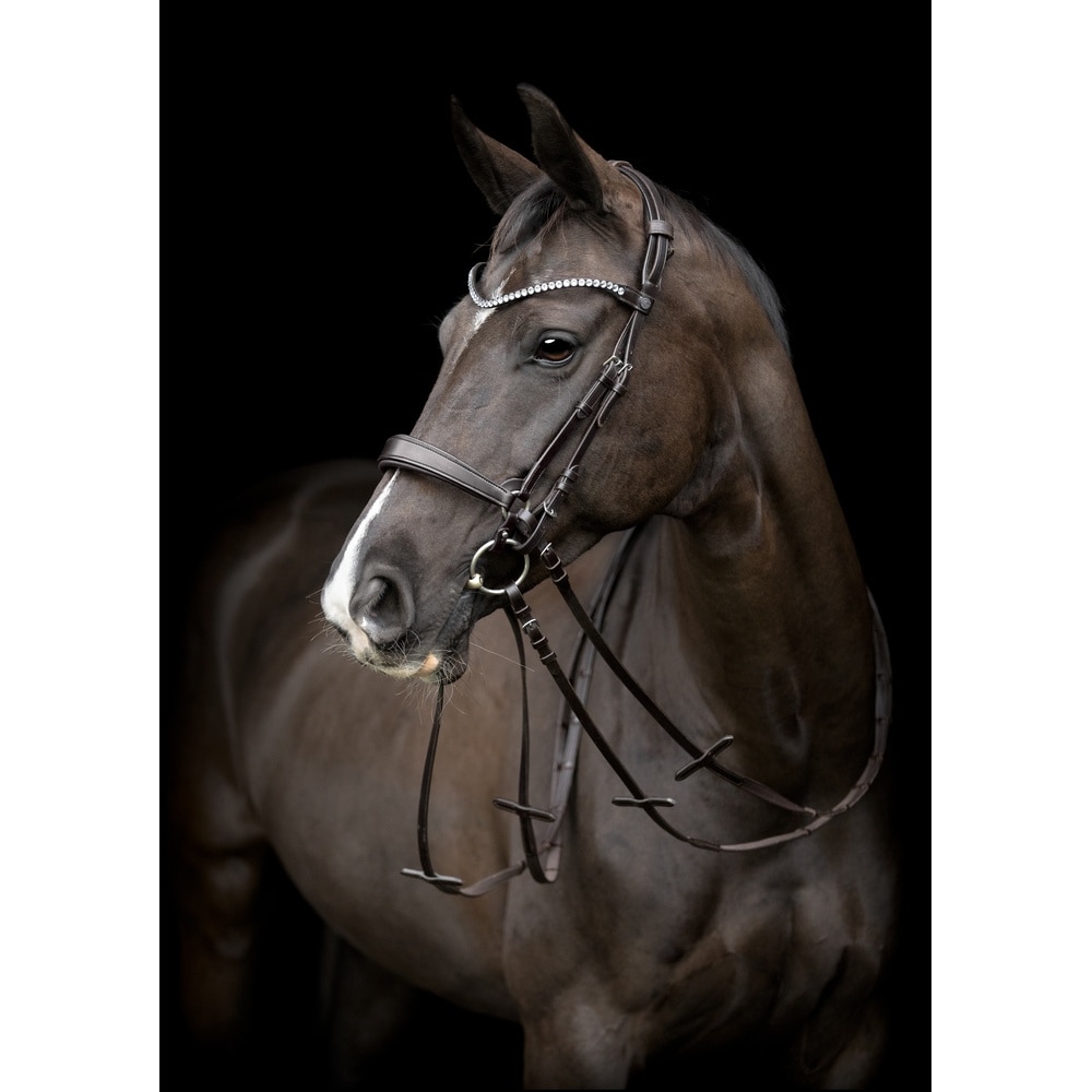 Catago Gentle Cheek Pieces