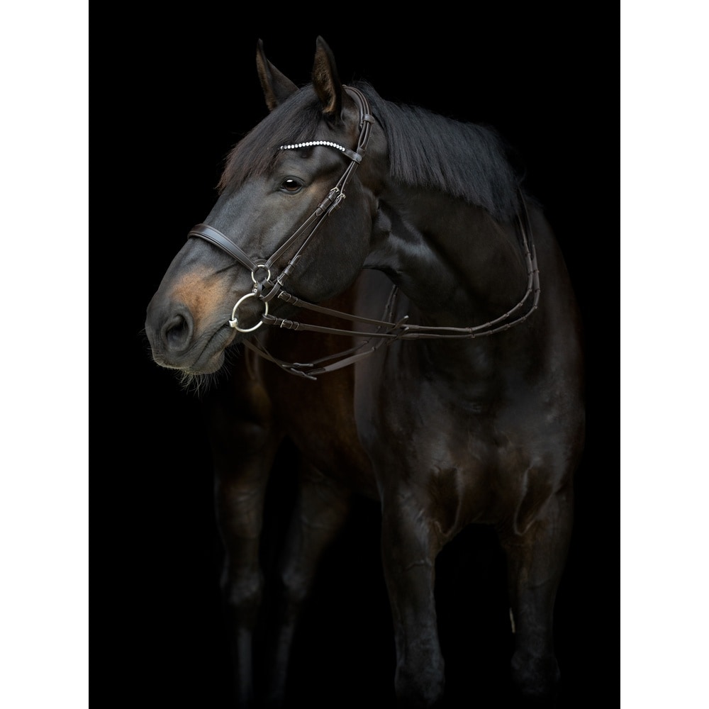 Catago Gentle Cheek Pieces