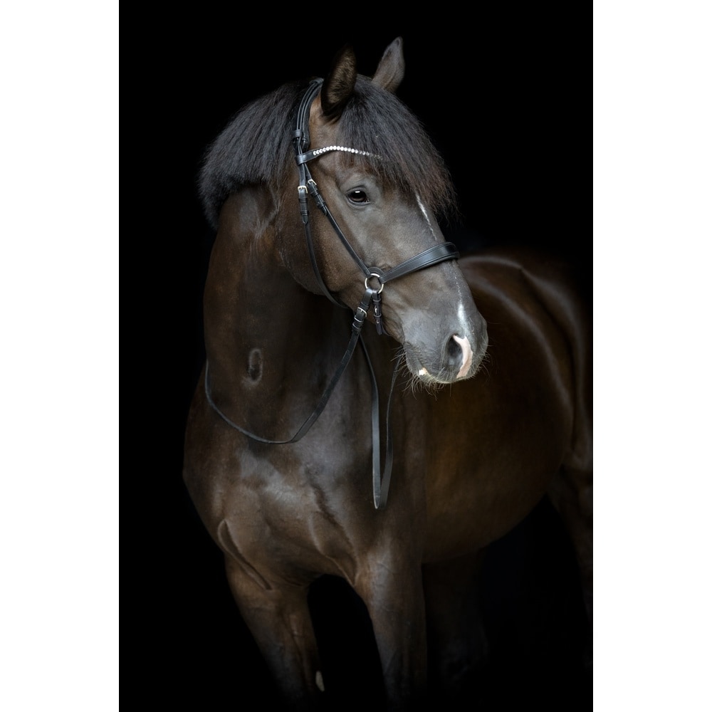 Fascia Sottogola Gentile Catago