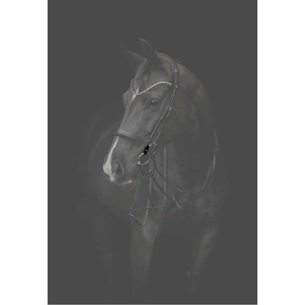 Anillas de Conexión Gentle de Catago