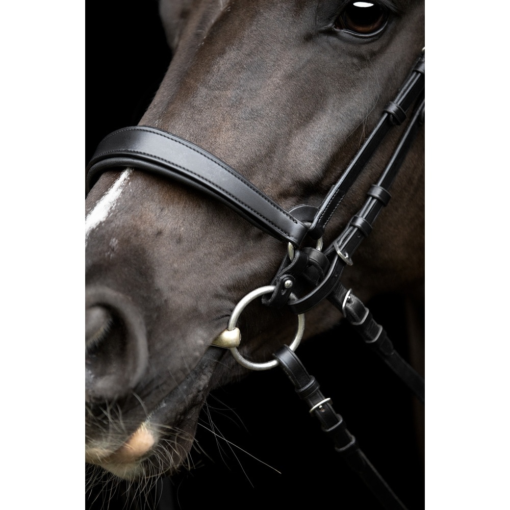 Anillas de Conexión Gentle de Catago