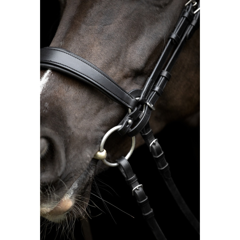 Anillas de Conexión Gentle de Catago