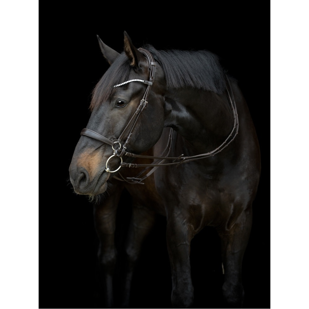 Pieza de Cuello Gentle Catago