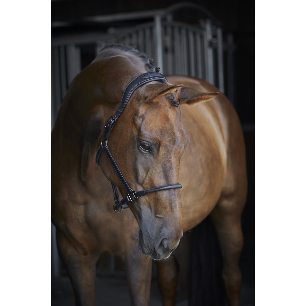 Catago Skórzany Kantar