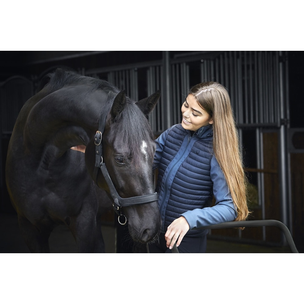 HorseGuard Anatomisches Halfter