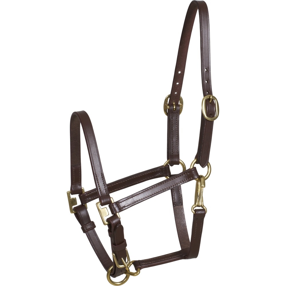 HorseGuard Cheval Fohlenhalfter