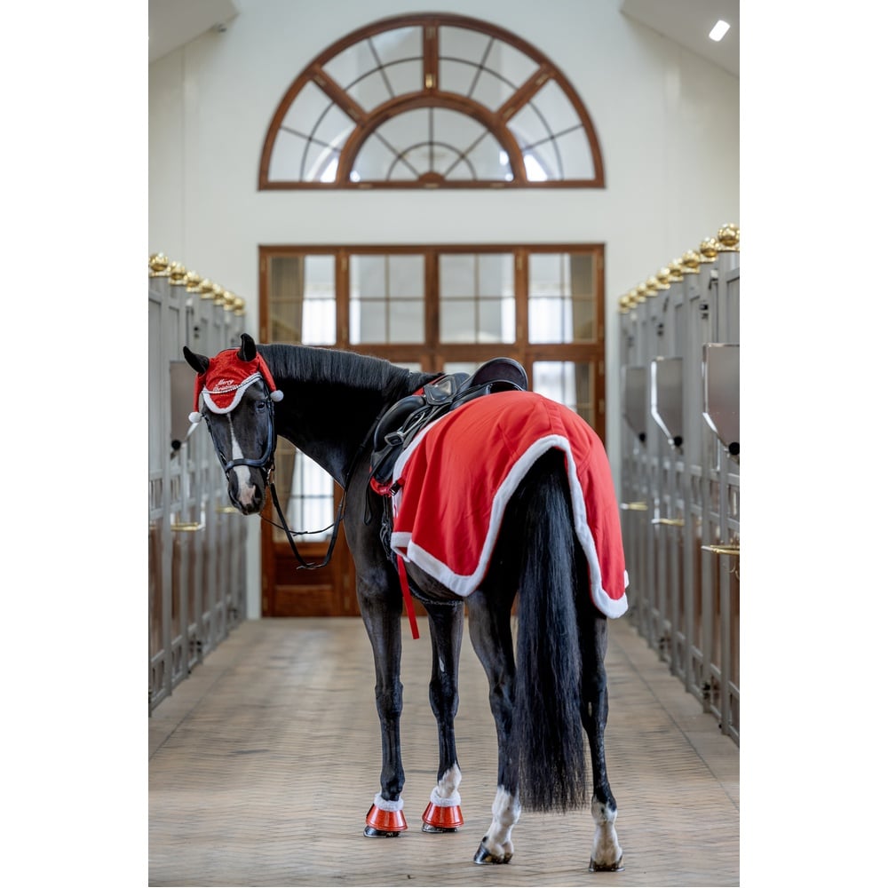 Manta de Ejercicio Hind de Navidad HorseGuard