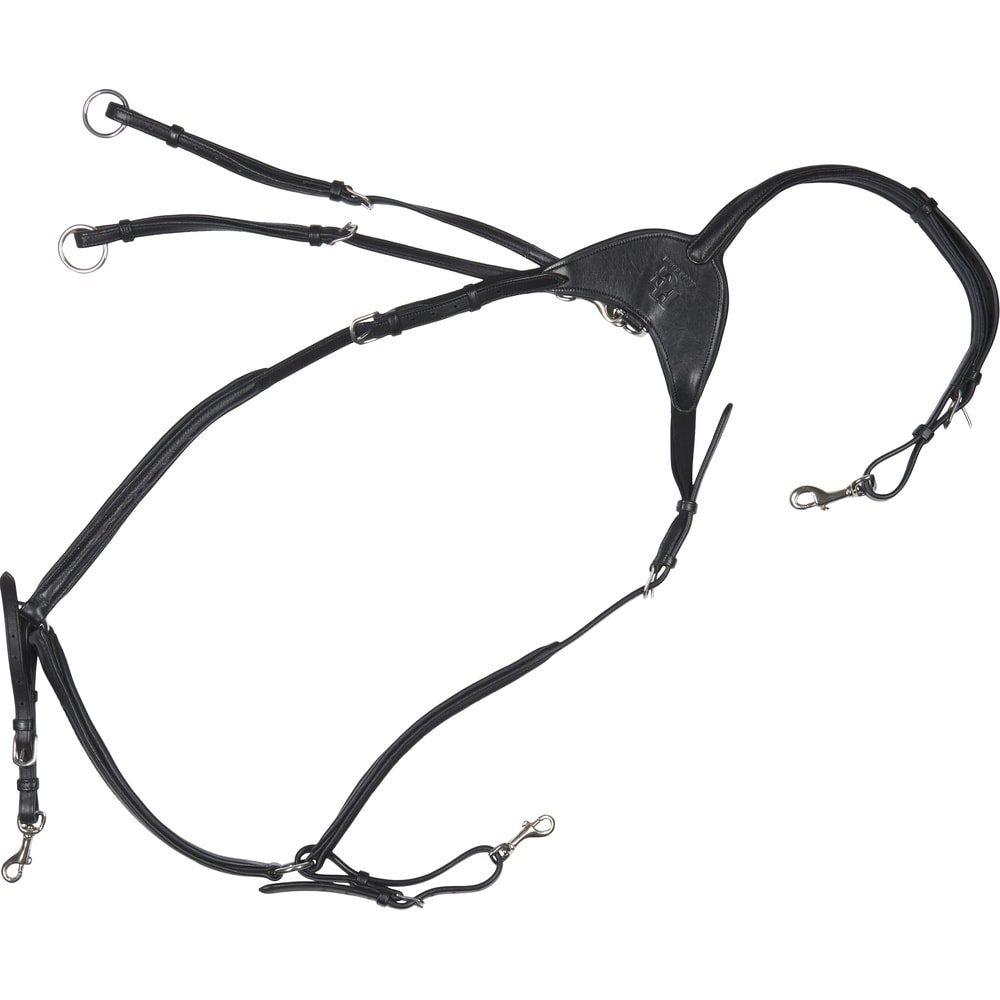 HorseGuard Dian Vorderzeug mit Martingal