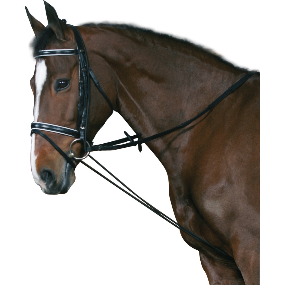 HorseGuard Elastic Chambon
