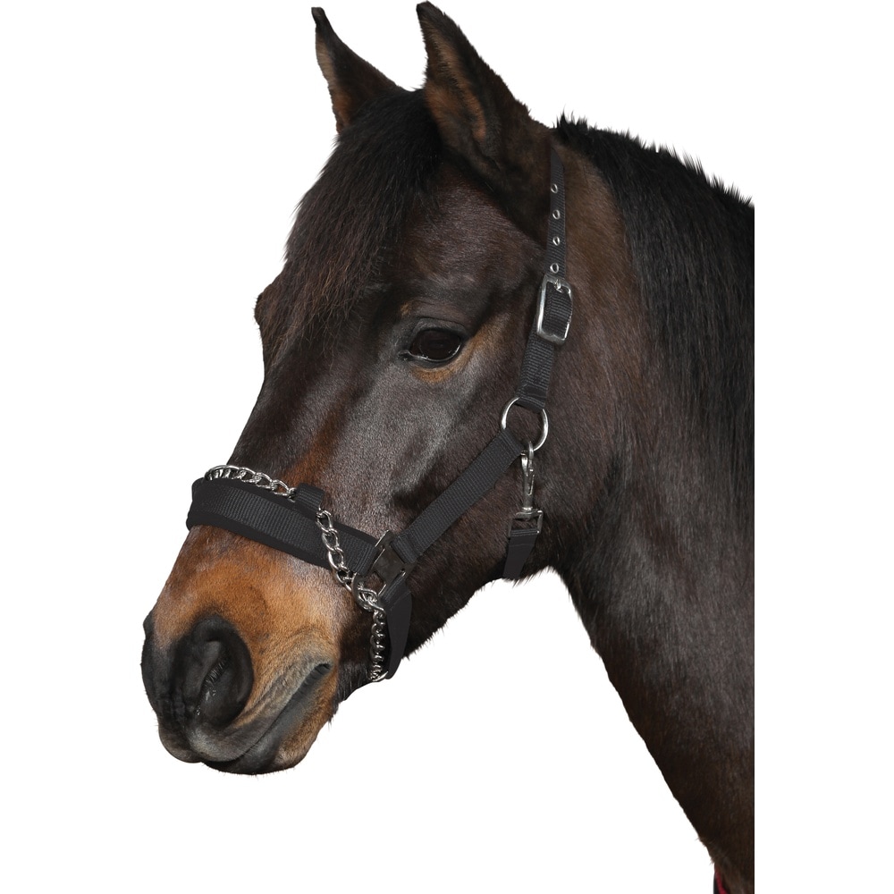 HorseGuard Halfter mit Kette