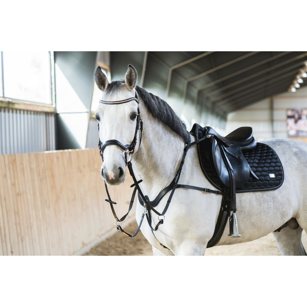 HorseGuard Luke Vorderzeug