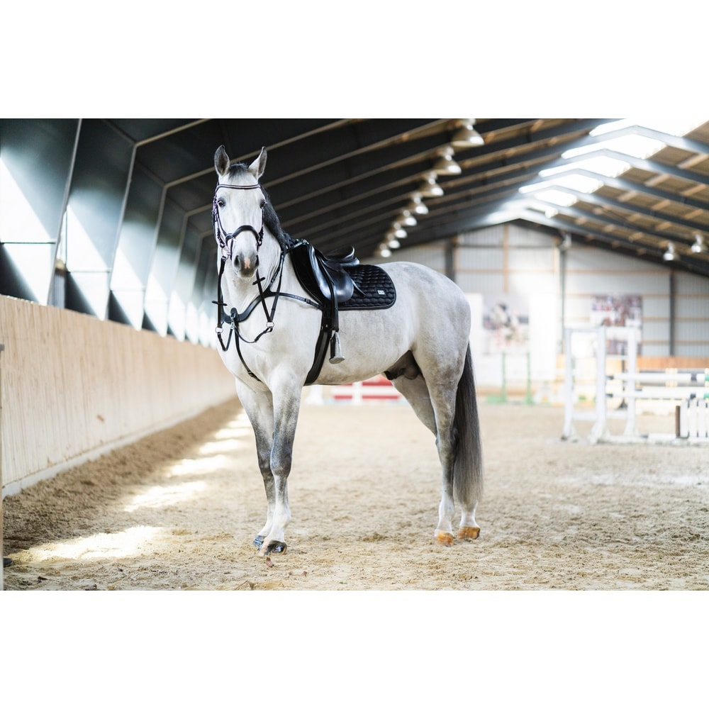 HorseGuard Luke Vorderzeug