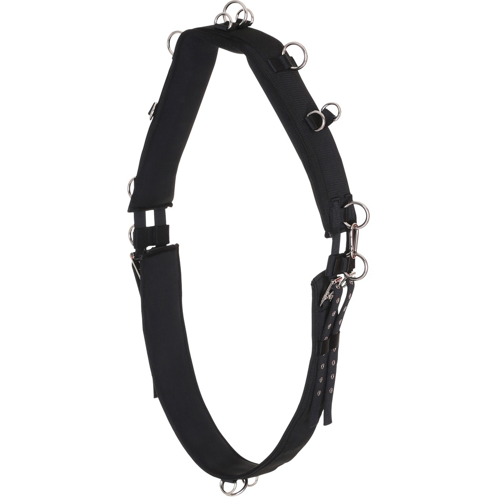 HorseGuard Longiergurt