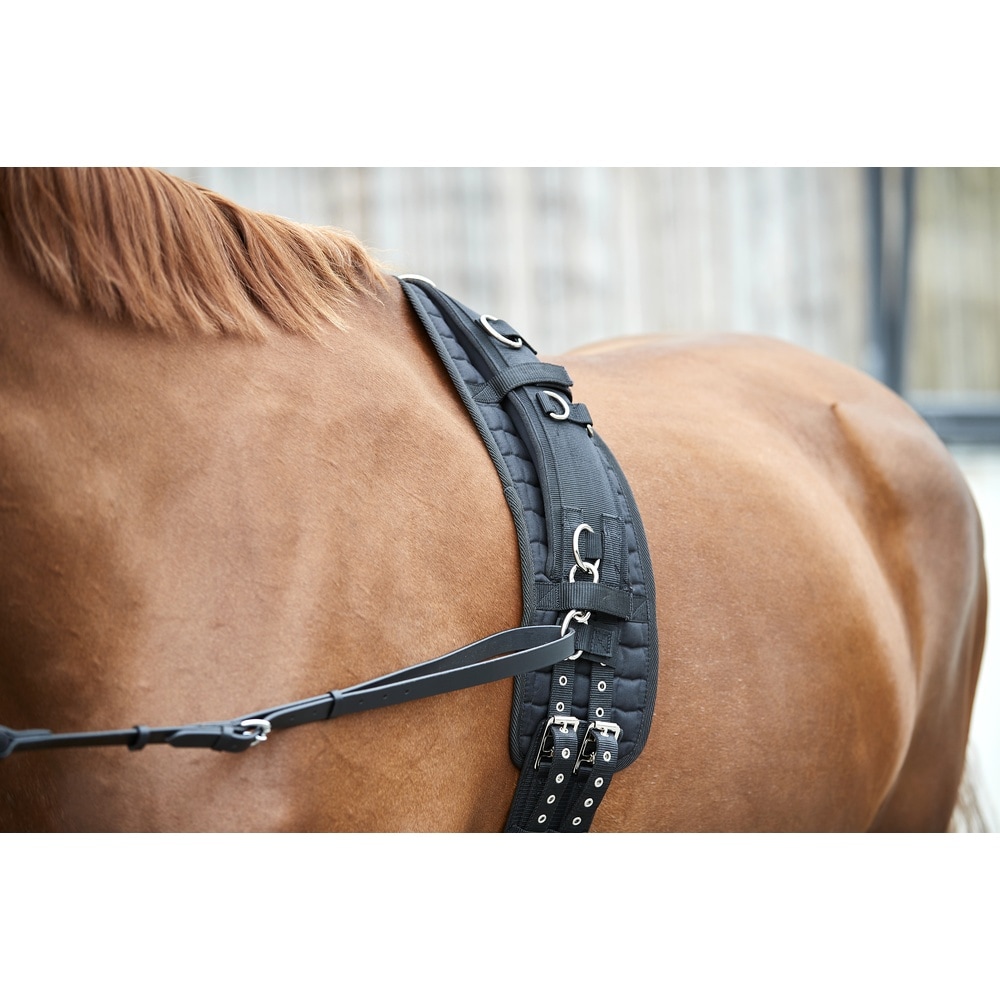 HorseGuard Longiergurt