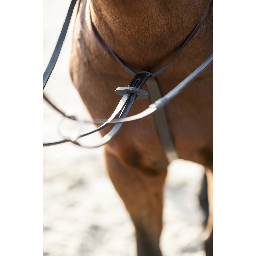 HorseGuard martingaali