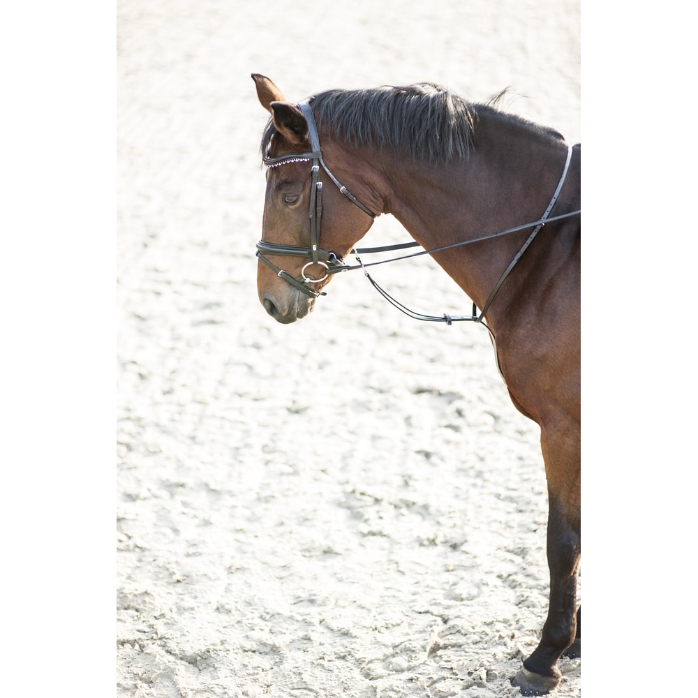 HorseGuard martingaali