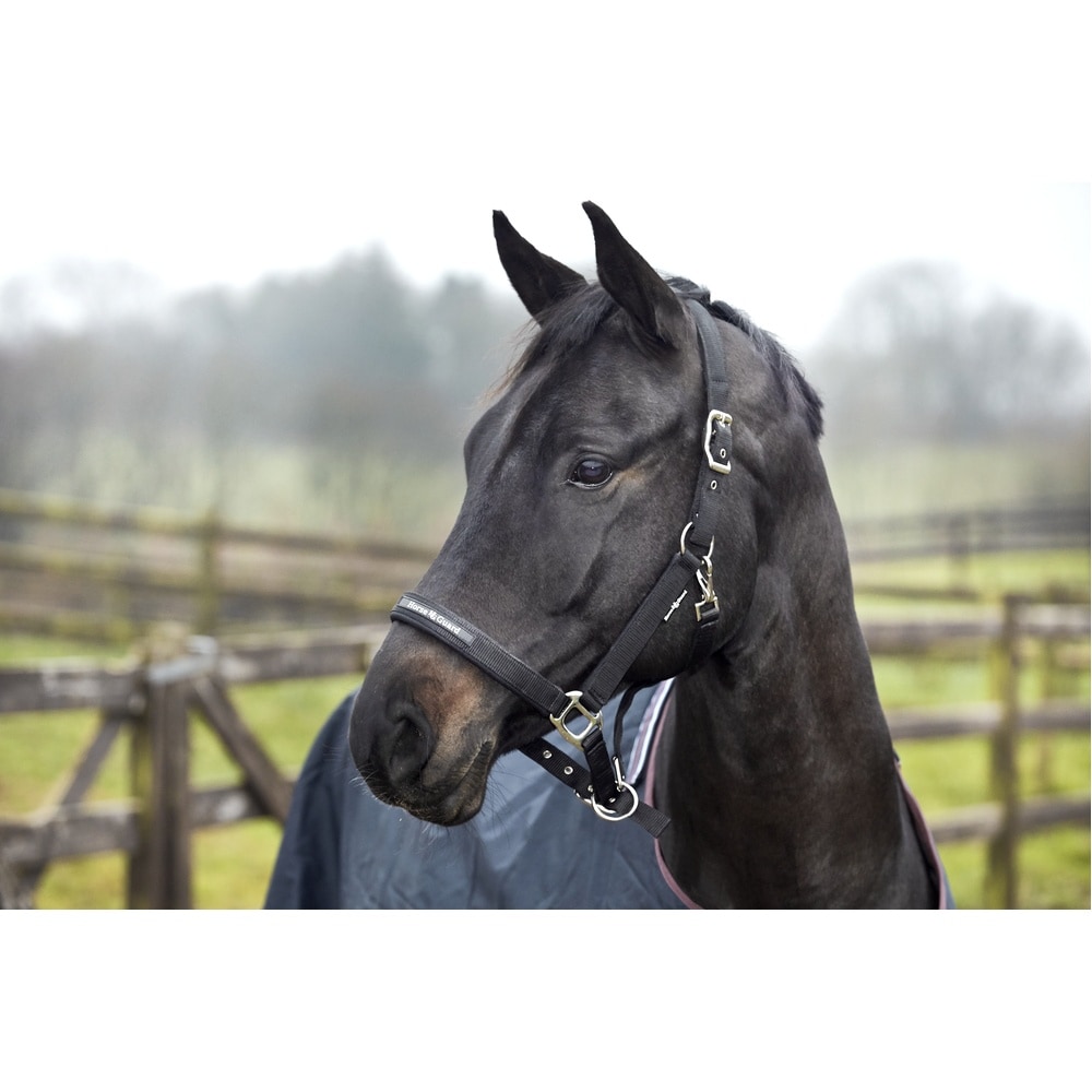 HorseGuard Mesh-suitset