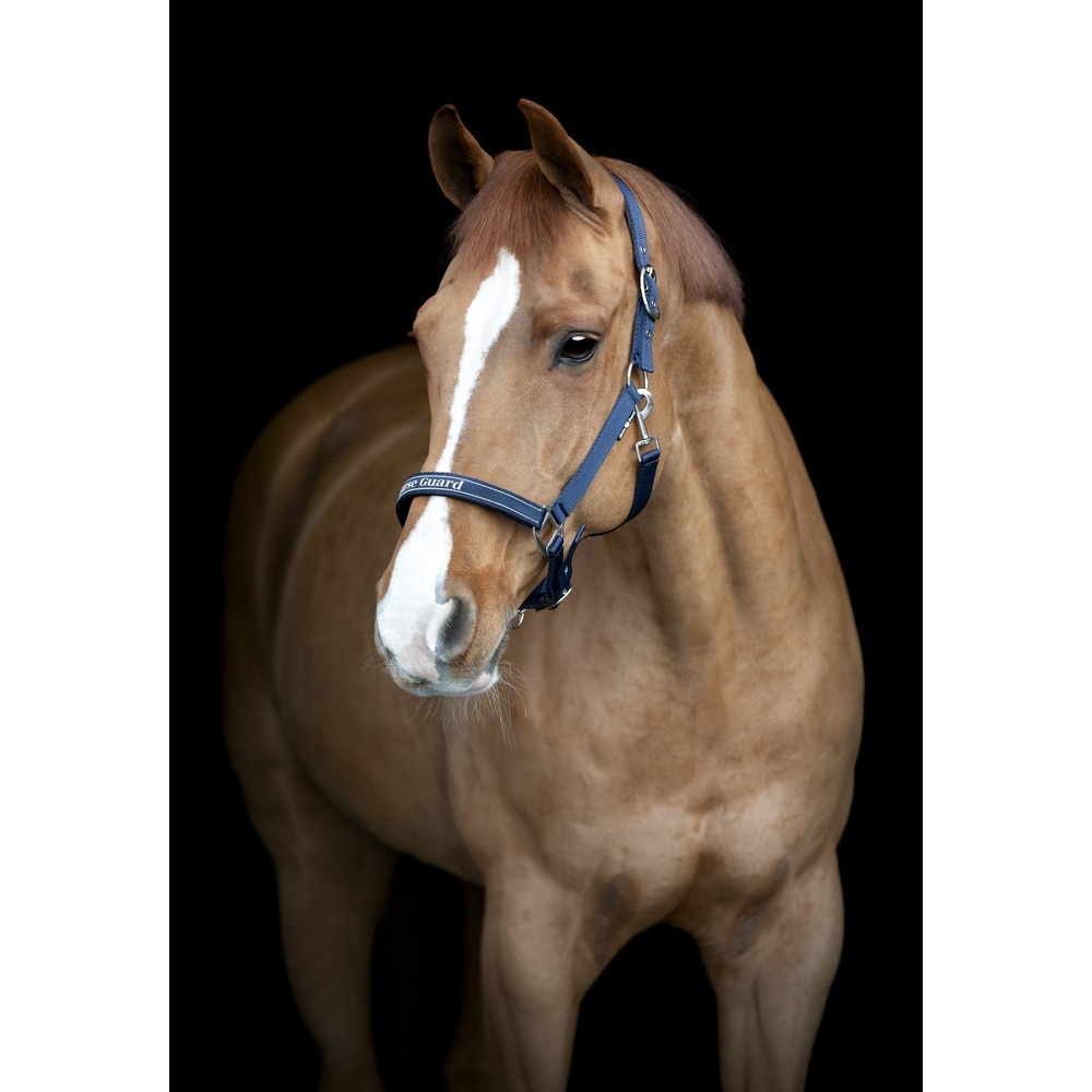 Kantar HorseGuard Sandra