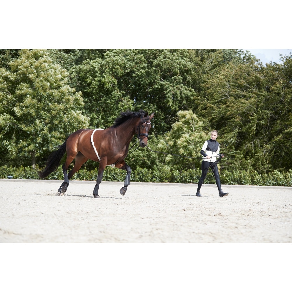 Ayuda de Riendas Suaves HorseGuard