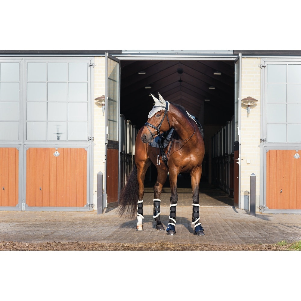 HorseGuard Staffa Fillis Manica Corta Junior