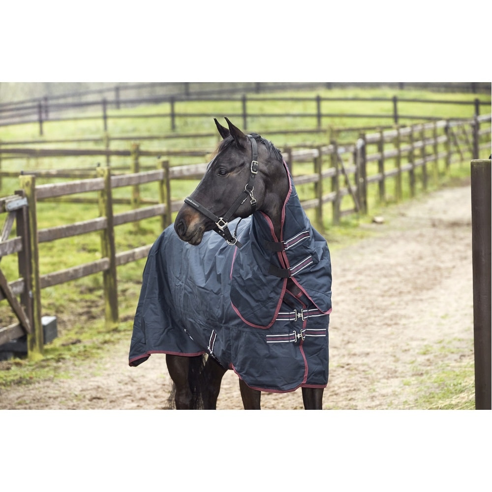 Manta de Exterior HorseGuard 600D Detacher 200g